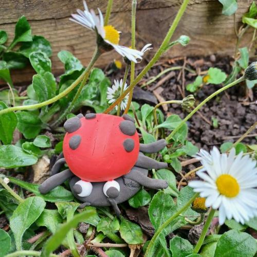 colourful clay ladybird
