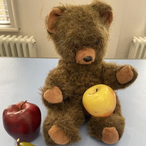 still life arrangement of teddy with apple
