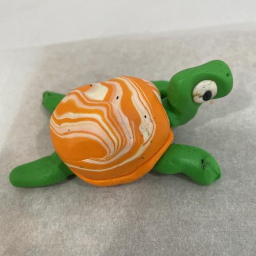 turtle colourful model