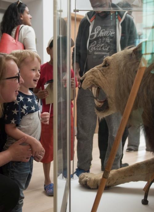 child and mum looking at a lion