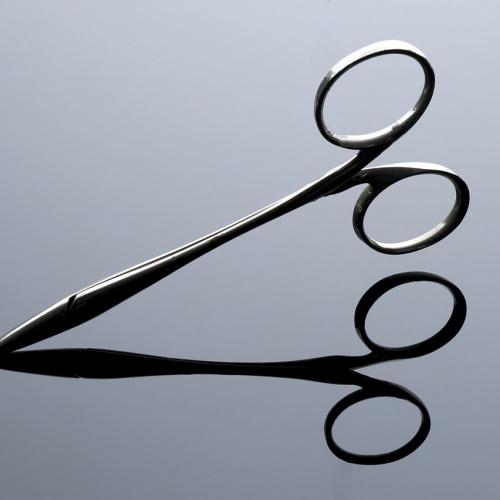 Spencer Wells’ artery forceps have become the standard forceps used in abdominal surgery following their introduction in 1879. © Wellcome Collection