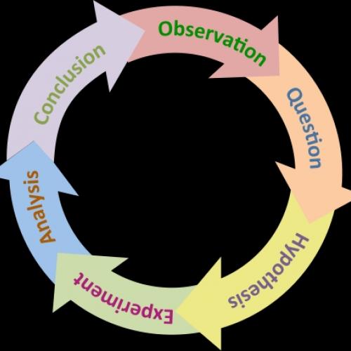 This simplified illustration of the scientific process shows how its stages lead back to the begin again with a new question. © www.thebiologyprimer.com