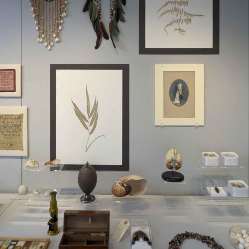 Collection of accumulated objects and artefacts