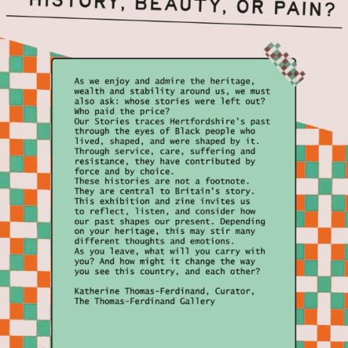 Exhibition panel - Pain or Beauty?