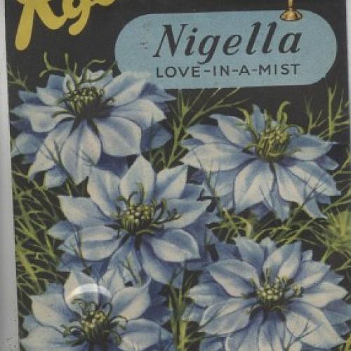 Seed packet from Ryders with the name in yellow and an outline of the Ryder cup. The seeds are Nigella seeds and there are blue Nigella flowers on the packet.