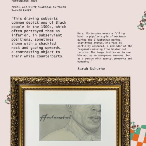 Exhibition panel - Fortunatus artwork