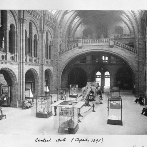Central Hall of the Natural History Museum in 1895. ©Trustees of the Natural History Museum.