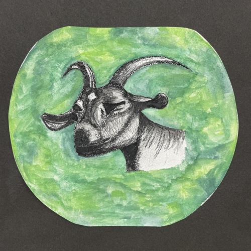 goat painting 
