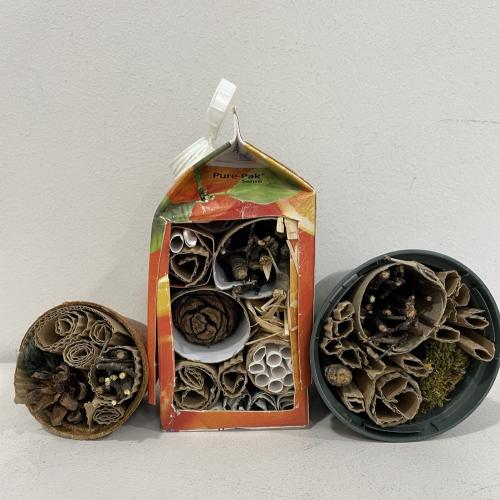 bug hotels