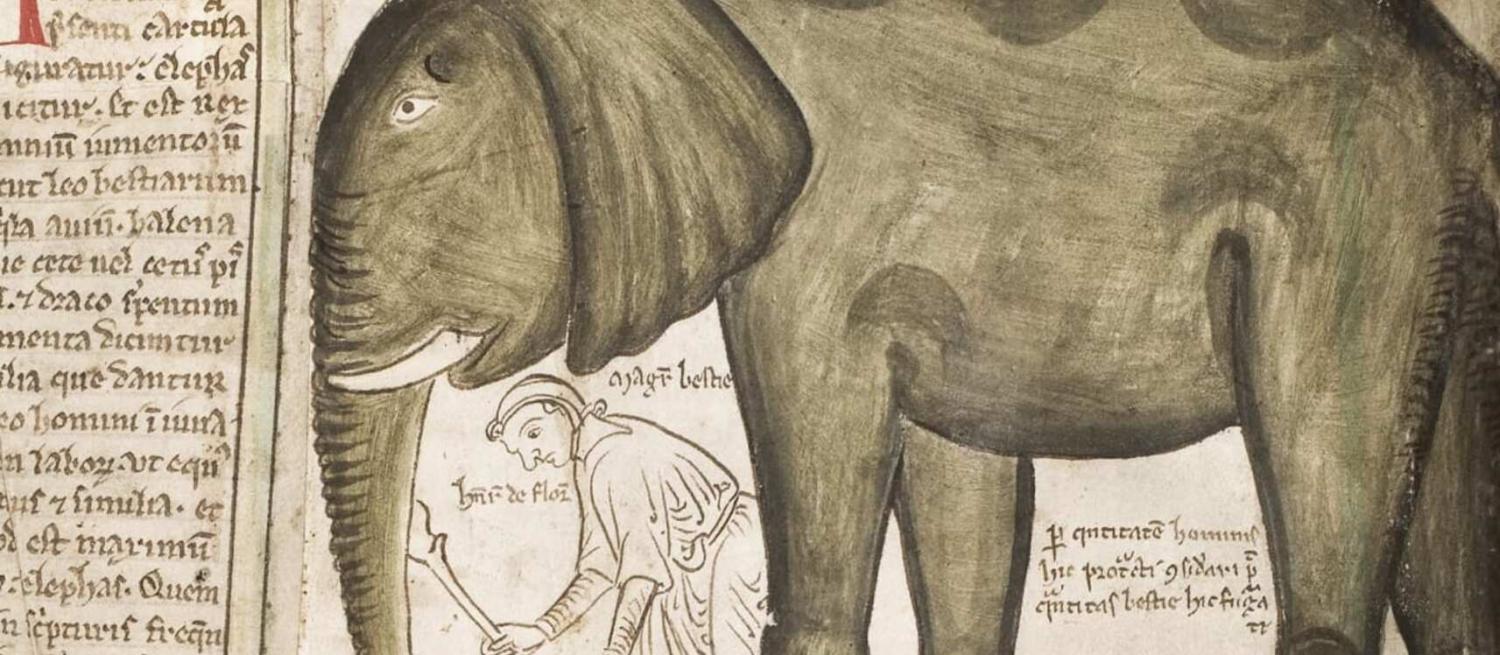 Grey elephant drawing as part of medieval manuscript