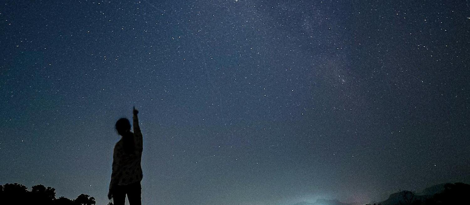 Chetan Jawale image of silhouette of person looking at night sky