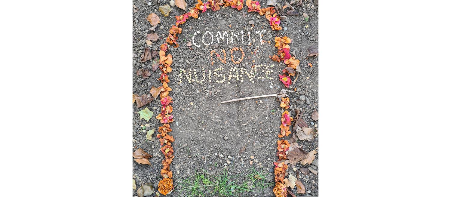 Commit No Nuisance
