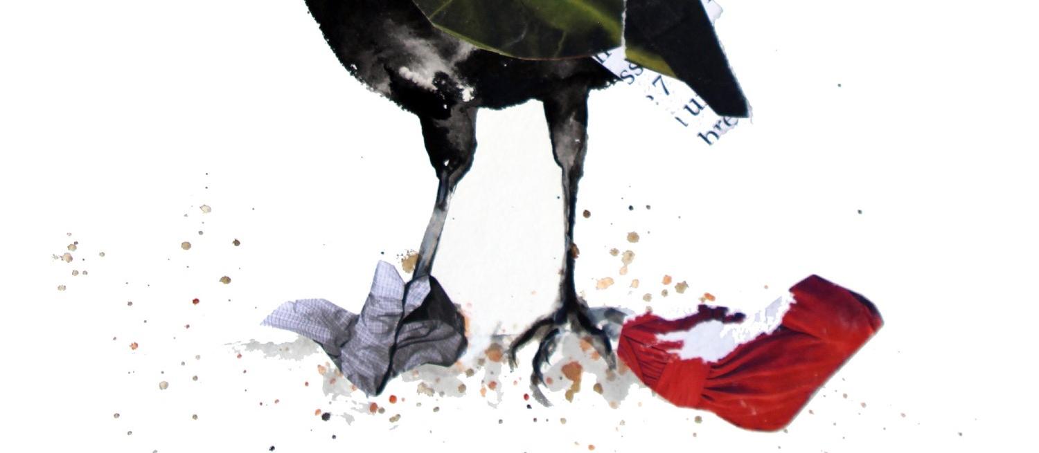 Detail from Crow by Nina Fraser