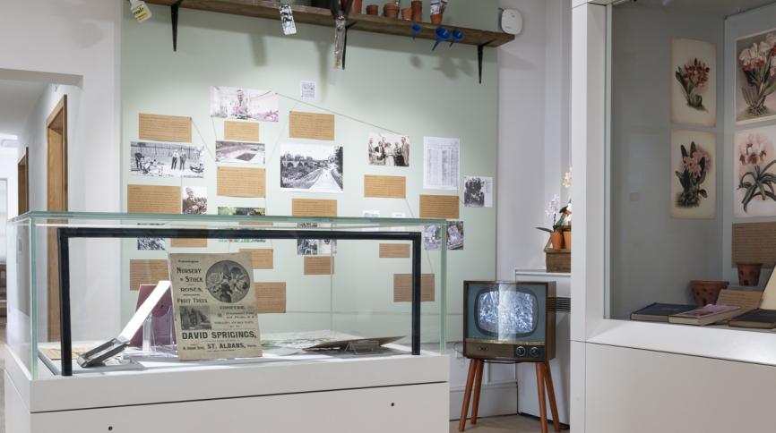 TV and orchid display in exhibition