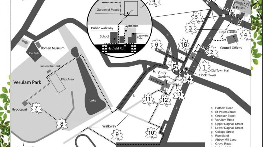 Snapshot of the trail of trees across St Albans city centre