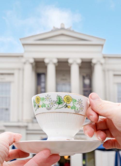 teacup in front of St Albans Museum