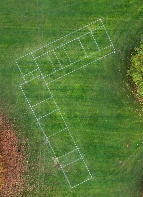 Verulamium Park lines