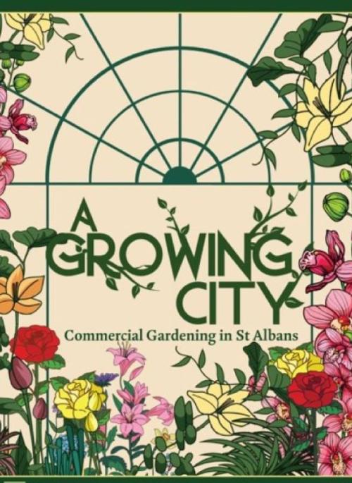 A Growing City