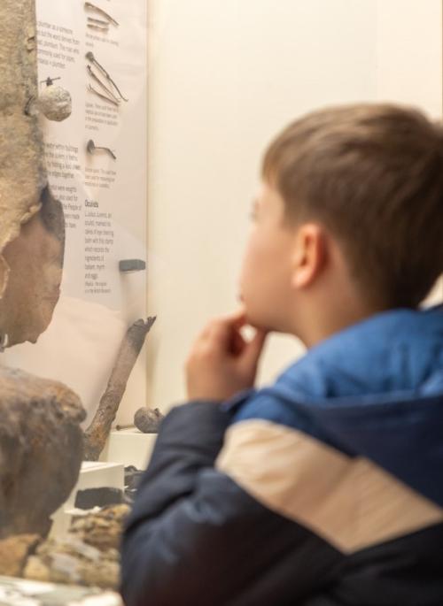 child looking at museum display at Verulamium 