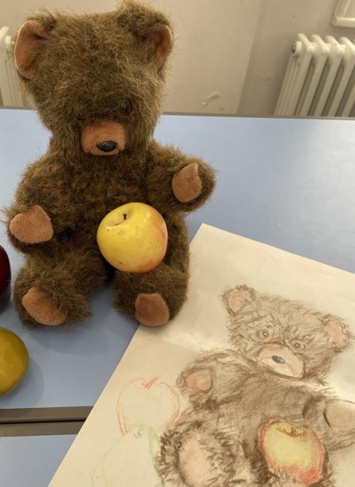 still life arrangement and drawing of teddy bear with apple 