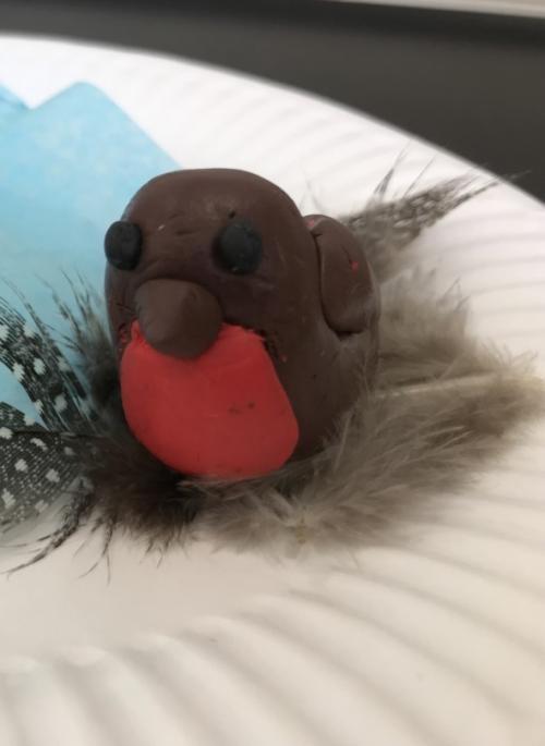 colourful model robin