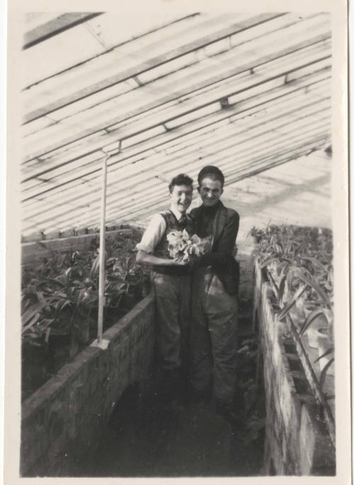 two men inside a greenhouse